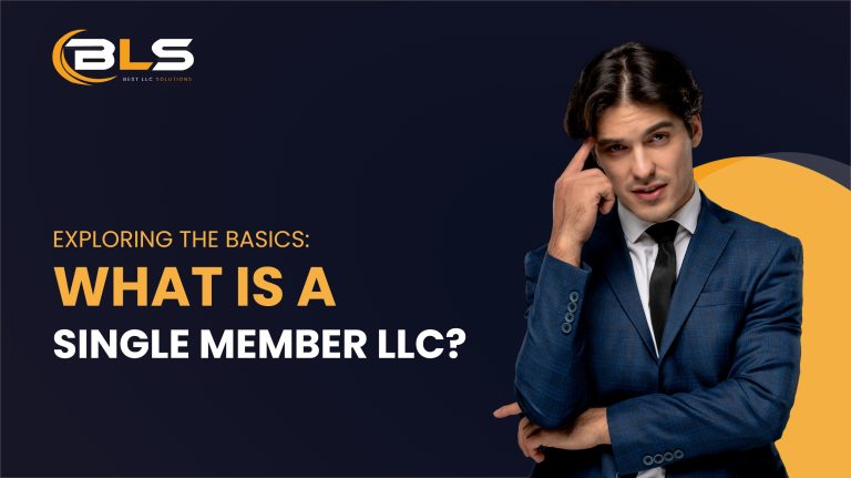 What is a Single Member LLC
