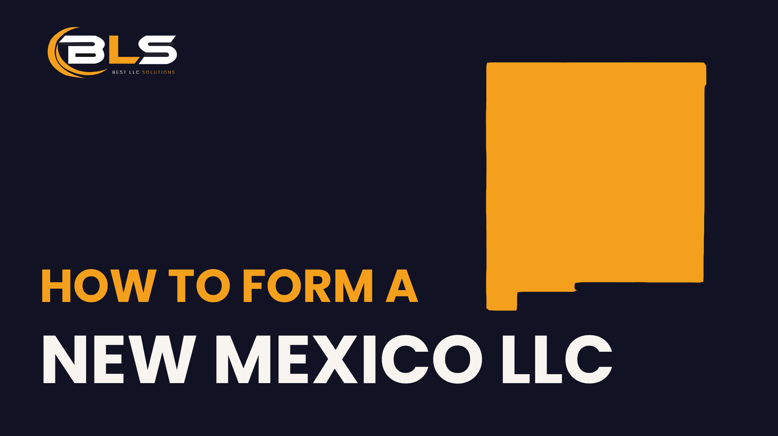New Mexico LLC